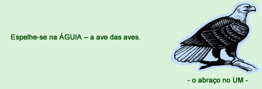 Espelhe-se na águia - Astrologia Sensorial