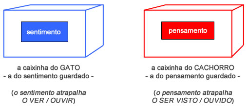 Caixinhas - Astrologia Sensorial