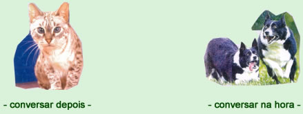 Conversar - Astrologia Sensorial