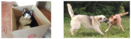 Lembretes - Astrologia Sensorial Lembretes - Astrologia Sensorial