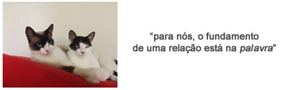 Gatos - Astrologia Sensorial Gatos - Astrologia Sensorial