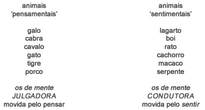 Animais - Astrologia Sensorial