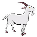 Bodinho - Astrologia Sensorial