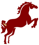 Cavalo - Astrologia Sensorial