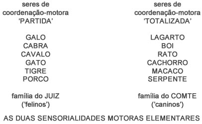 Seres de Coordenação Motora - Astrologia Sensorial Seres de Coordenação Motora - Astrologia Sensorial
