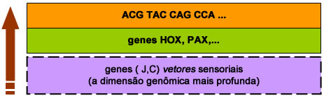 Quadro - Astrologia Sensorial Quadro - Astrologia Sensorial