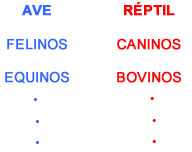 Introdução ao tato - Astrologia Sensorial