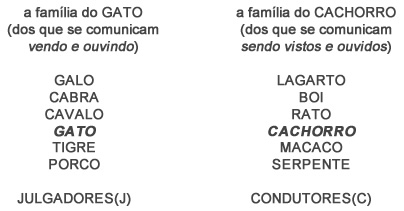 Família Gato e cachorro - Astrologia Sensorial