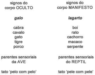 Signos do corpo - Astrologia Sensorial