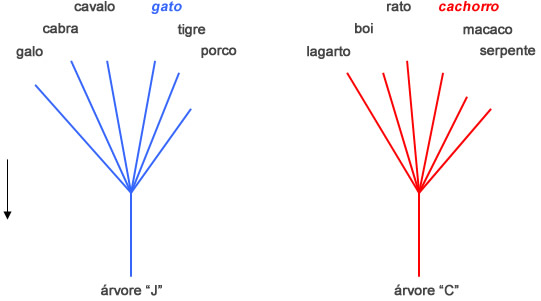 Árvore J ou C - Astrologia Sensorial