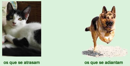 Animais - Astrologia Sensorial Animais - Astrologia Sensorial