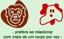 Macaco e gato - Astrologia Sensorial Macaco e gato - Astrologia Sensorial