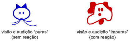 A visão - Astrologia Sensorial A visão - Astrologia Sensorial