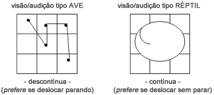 Visão Audição - Astrologia Sensorial Visão Audição - Astrologia Sensorial